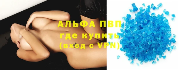 индика Саяногорск