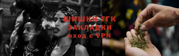 прущие грибы Белокуриха