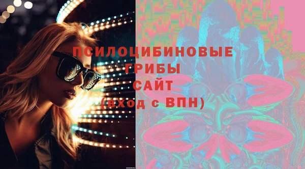 а пвп мука Бородино